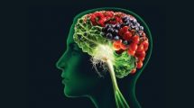 مواد غذایی ضد آلزایمر را بشناسید