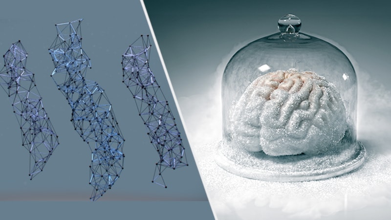 حقایقی جالب درباره یخ زدگی مغز