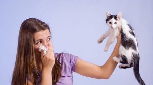 عوامل موثر در آلرژی به حیوانات خانگی چیست