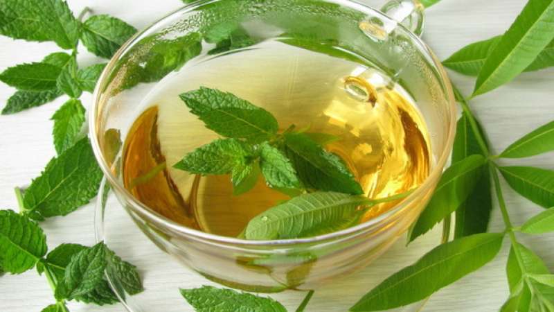 فواید شگفت انگیز چای سبز برای سلامتی