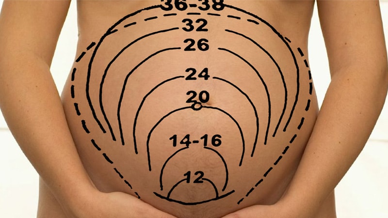 ارتفاع رحم در هفته های بارداری