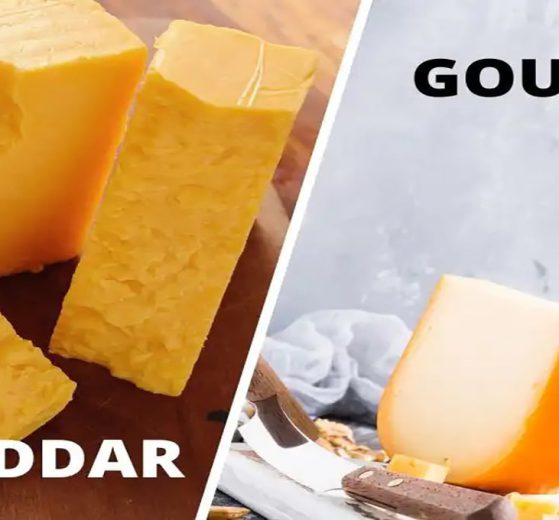 آشنایی با محبوب ترین پنیرهای دنیا، چدار و گودا