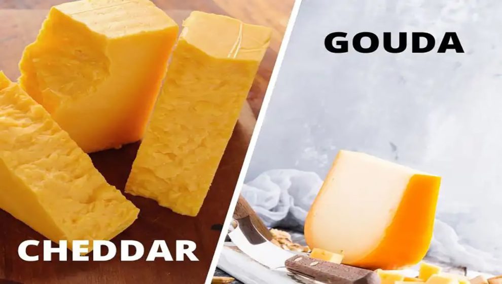 آشنایی با محبوب ترین پنیرهای دنیا، چدار و گودا