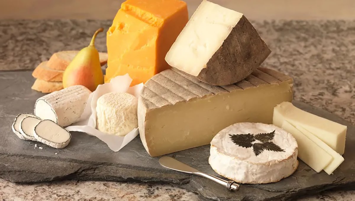 بارزترین تفاوت های پنیر گودا و چدار