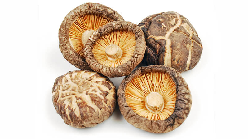 قارچ شیتاکه (Shiitake)